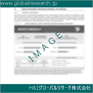 グローバルリサーチ調査資料のイメージ